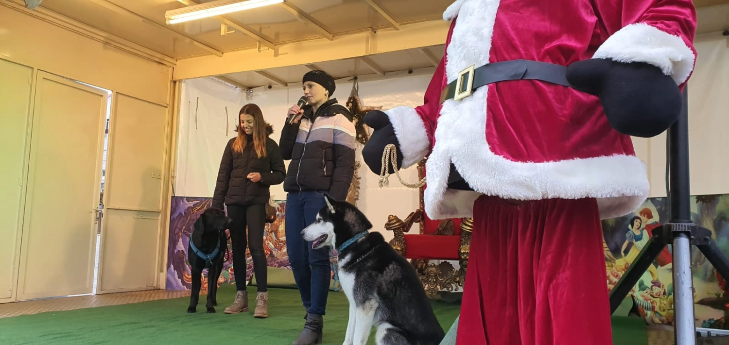 Domino Dogs School , Weihnachtsveranstaltung, singende Menschen und Hund