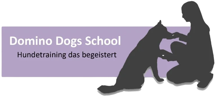Domino Dogs School