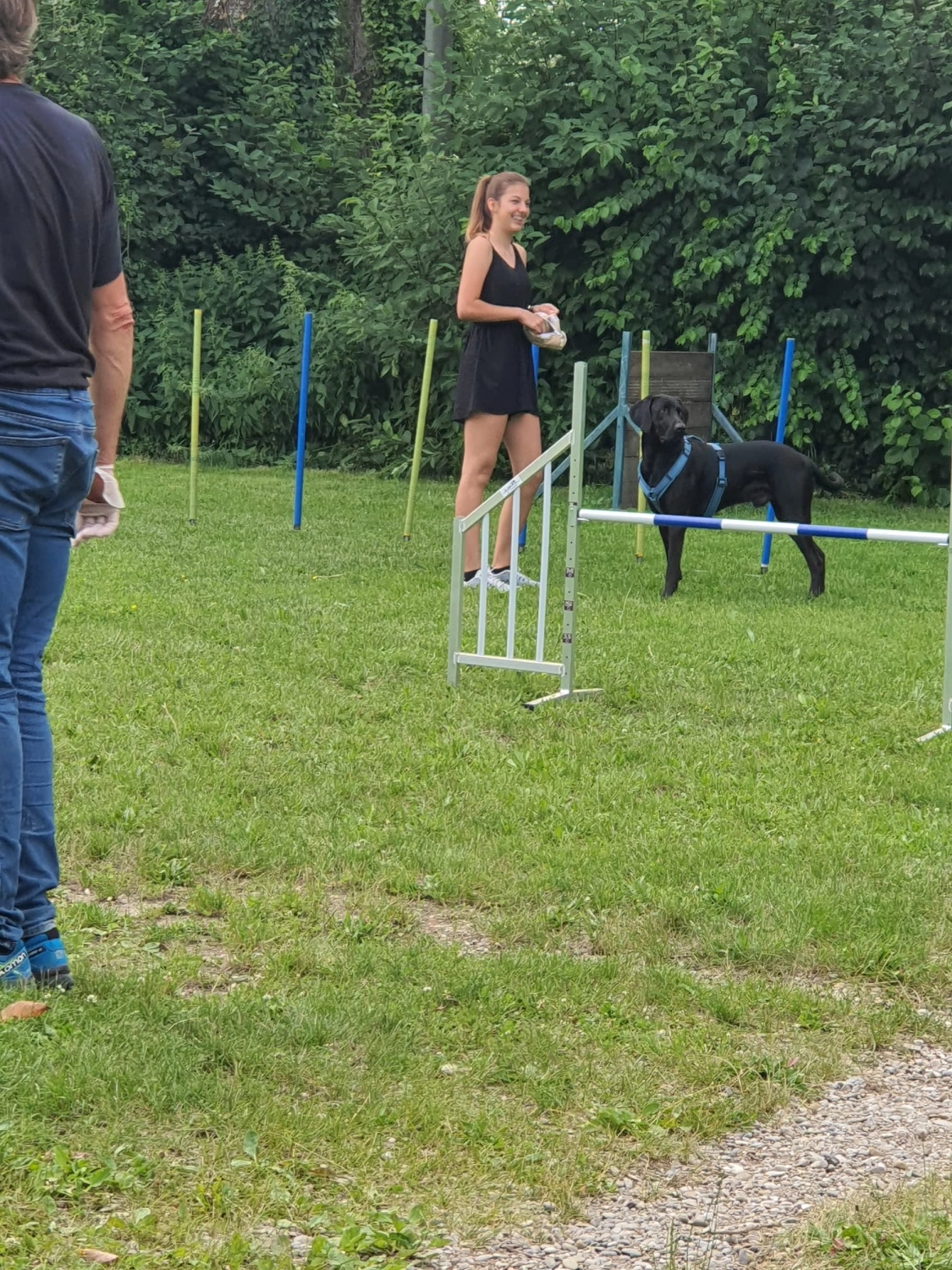 Domino Dogs School , Hundetrainer und Hund im Trainingsgelände