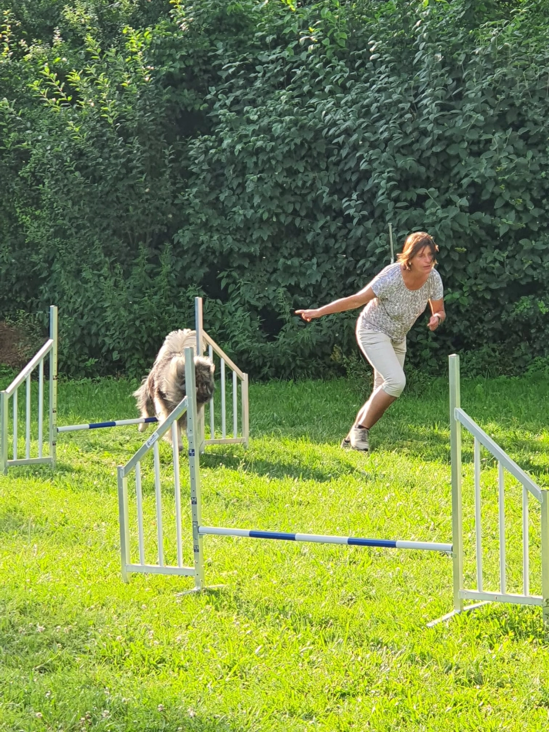 Domino Dogs School , Hundetrainer und Hund im Trainingsgelände