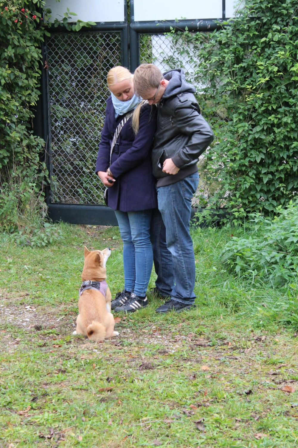 Domino Dogs School , zwei Personen und ein Hund