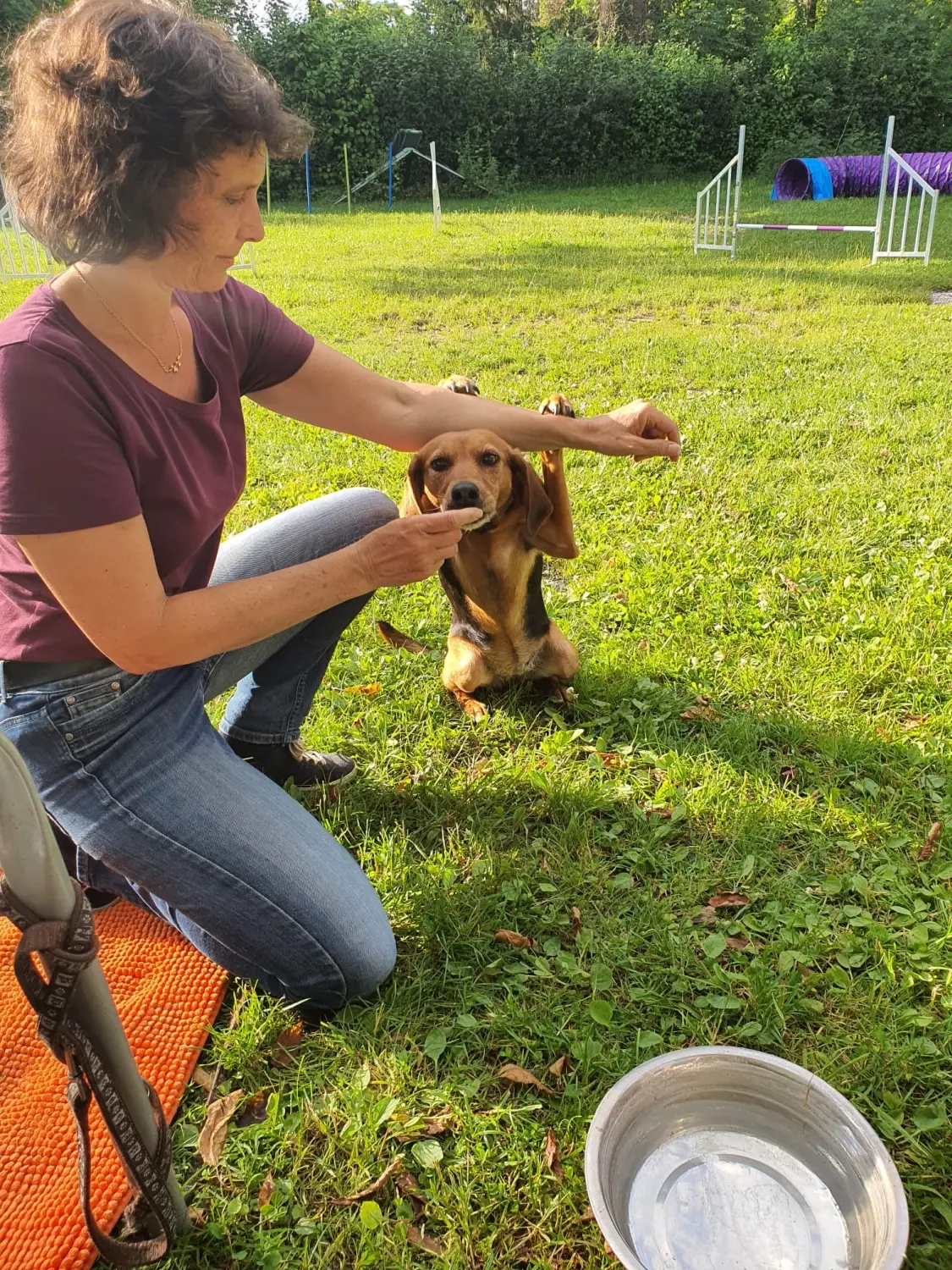 Domino Dogs School , Hunde halten den Arm einer Frau und sie füttert den Hund