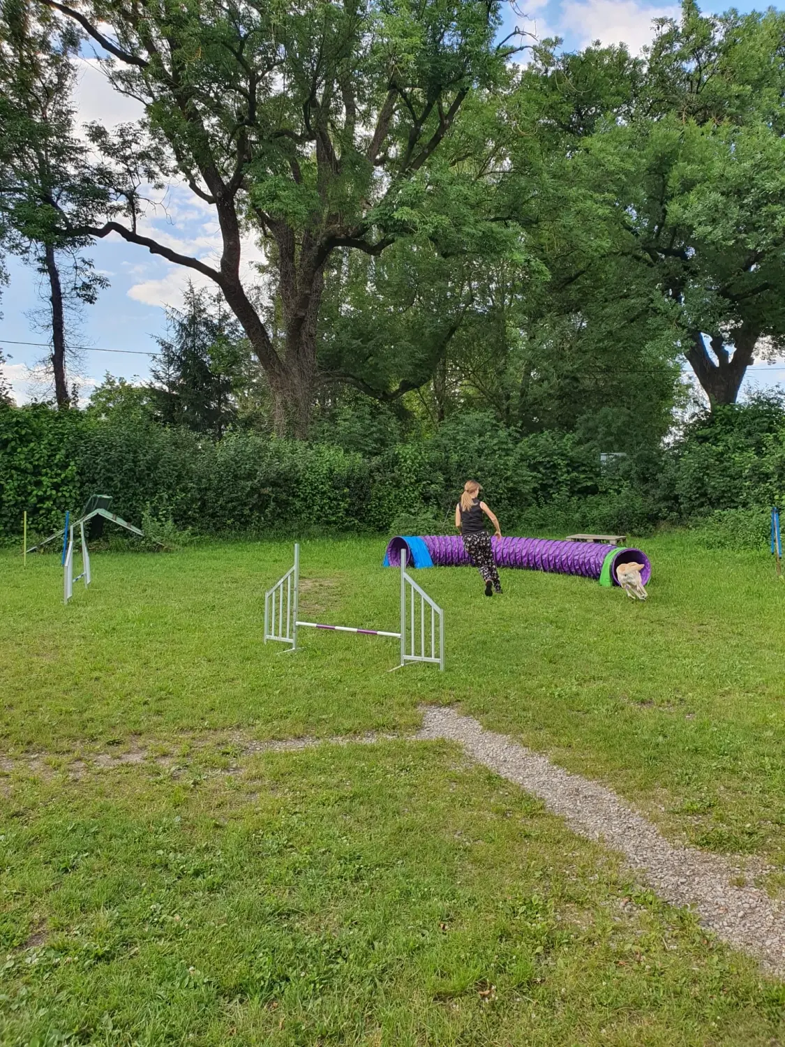 Domino Dogs School, Hundetrainer und Hund im Trainingsgelände