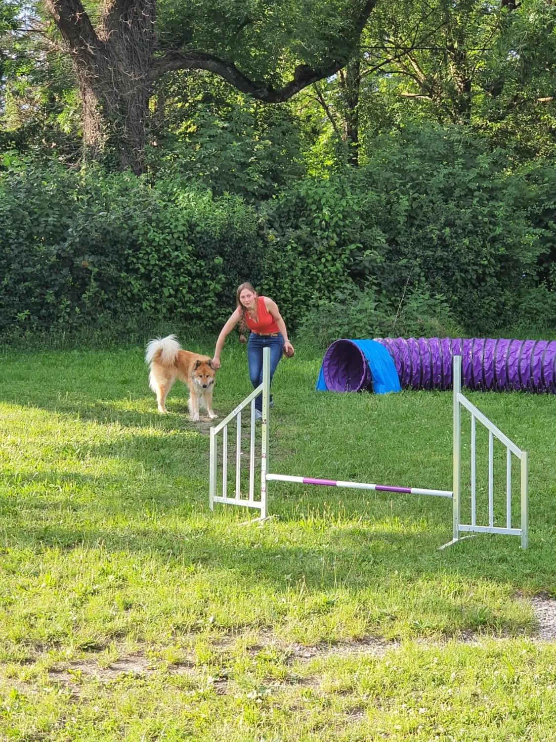 Domino Dogs School, Hundetrainer und Hund im Trainingsgelände