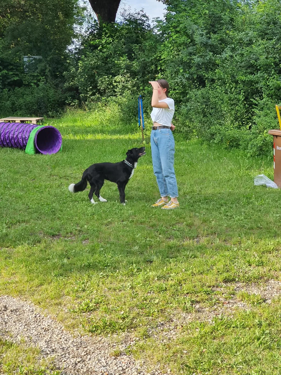 Domino Dogs School, Hundetrainer und Hund im Trainingsgelände