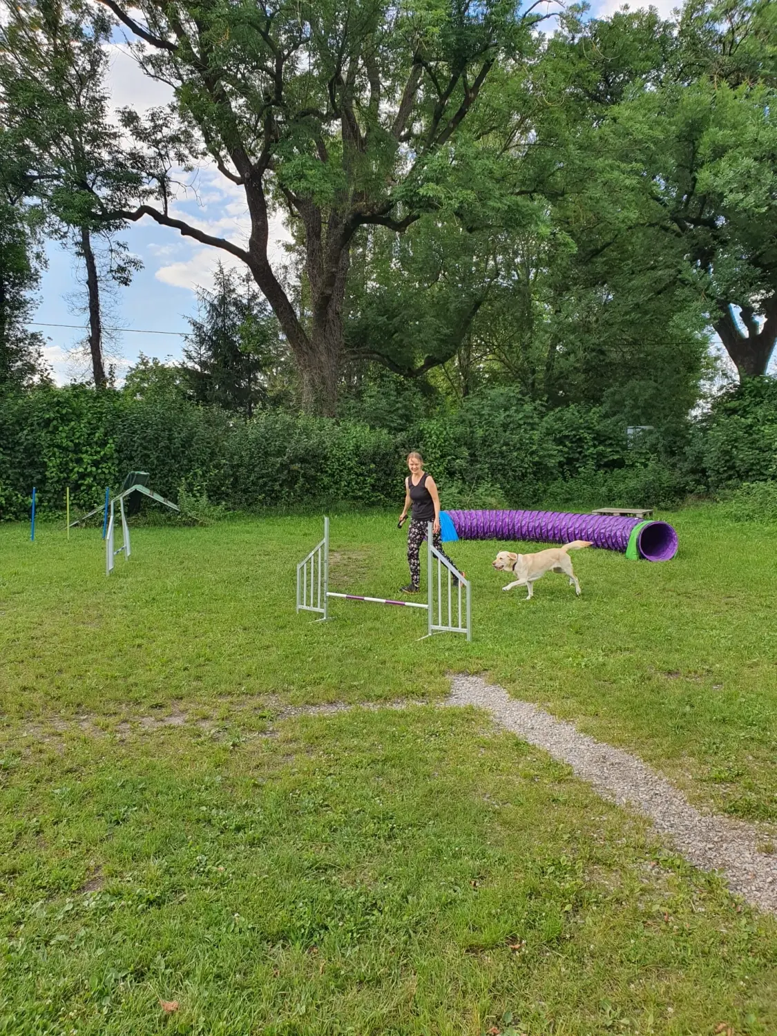 Domino Dogs School, Hundetrainer und Hund im Trainingsgelände