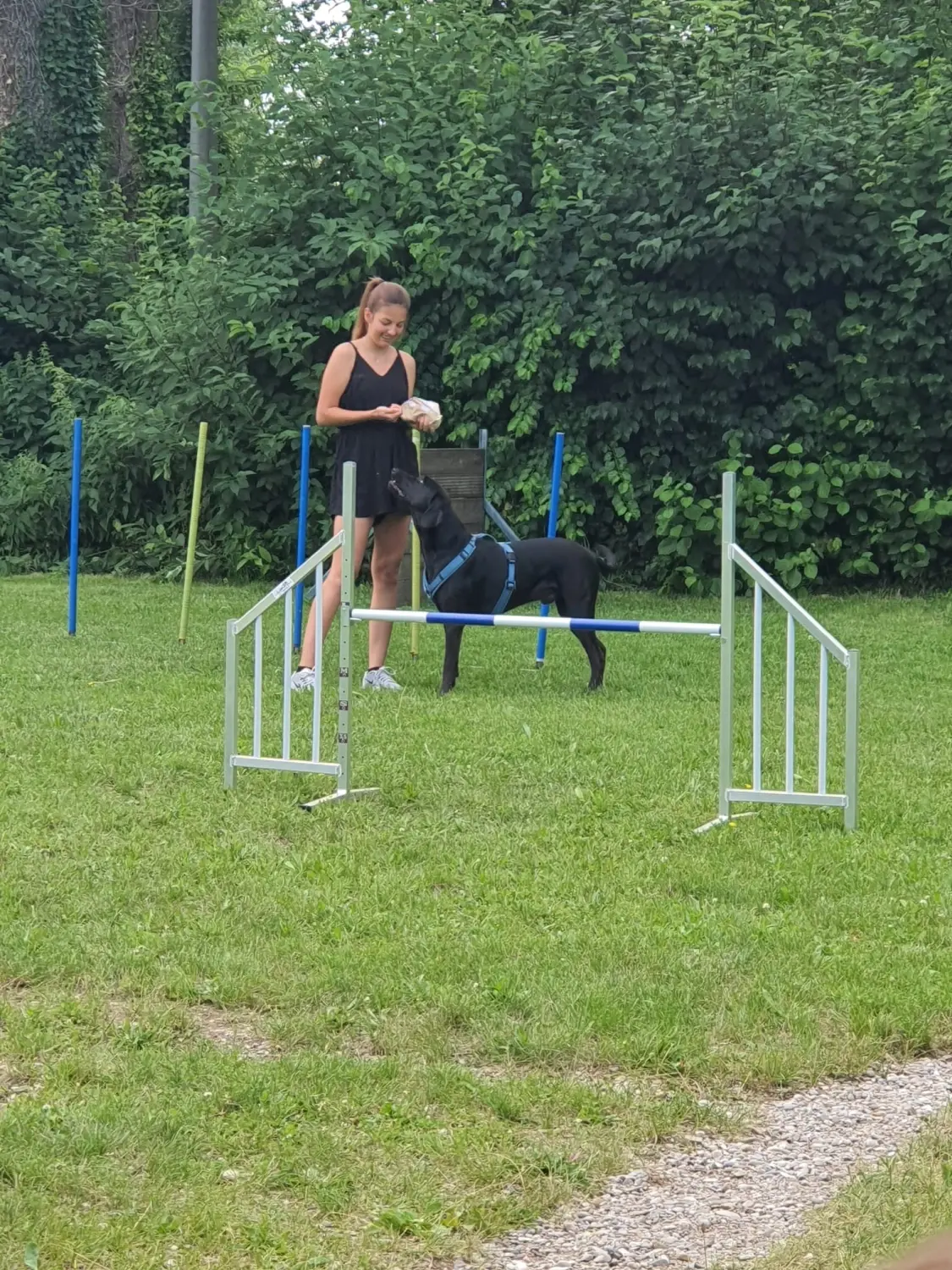 Domino Dogs School , Hundetrainer und Hund im Trainingsgelände