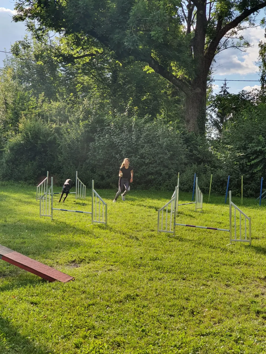 Domino Dogs School , Hundetrainer und Hund im Trainingsgelände