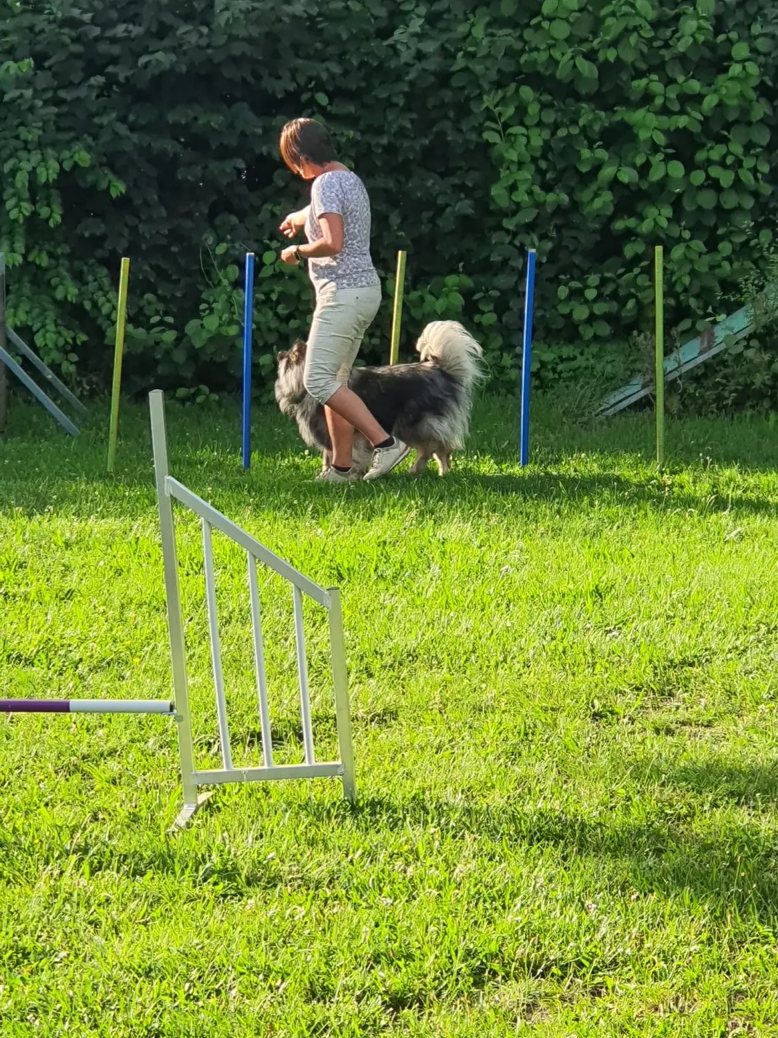 Domino Dogs School , Hundetrainer und Hund im Trainingsgelände