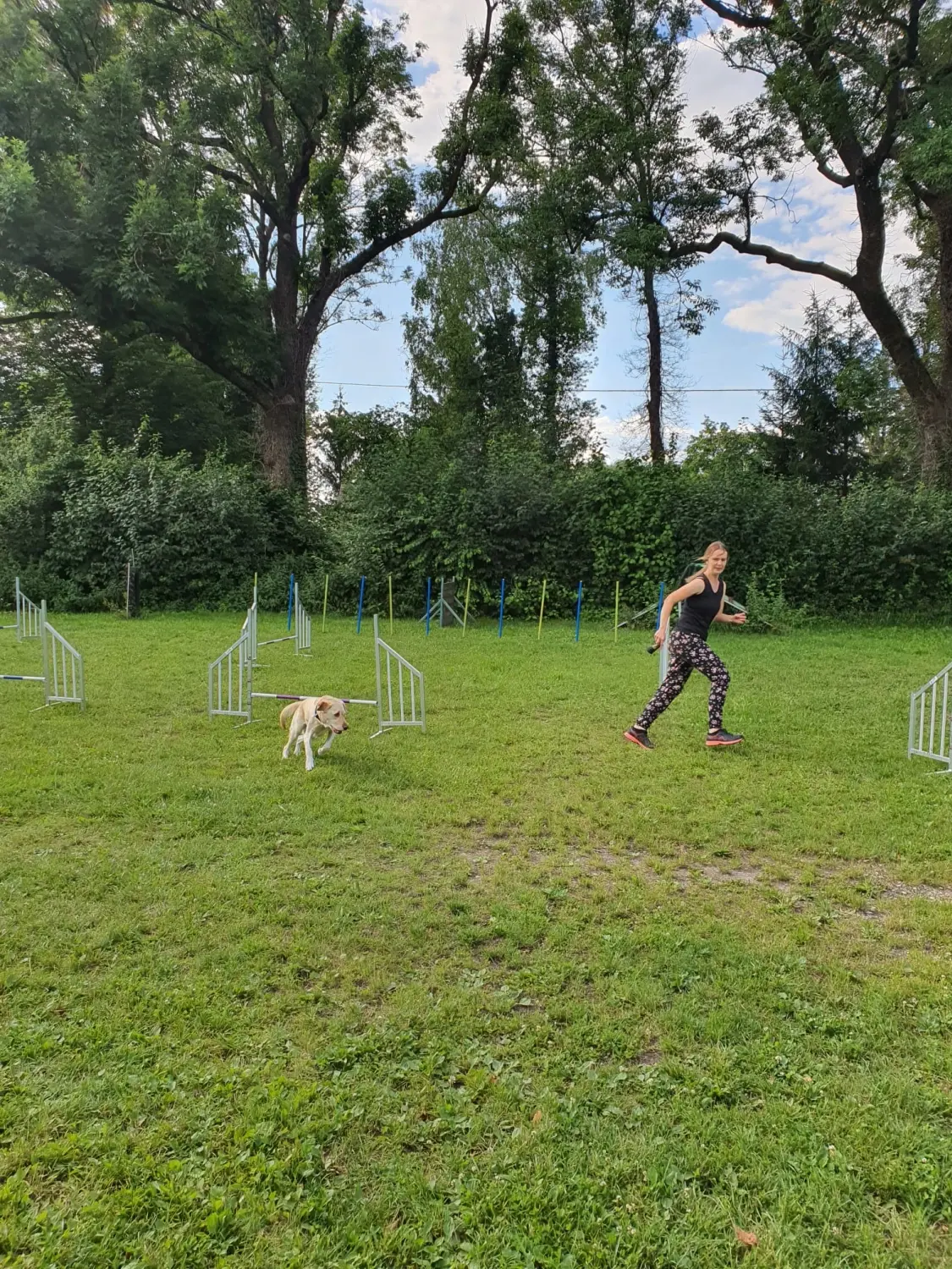 Domino Dogs School , Hundetrainer und Hund im Trainingsgelände