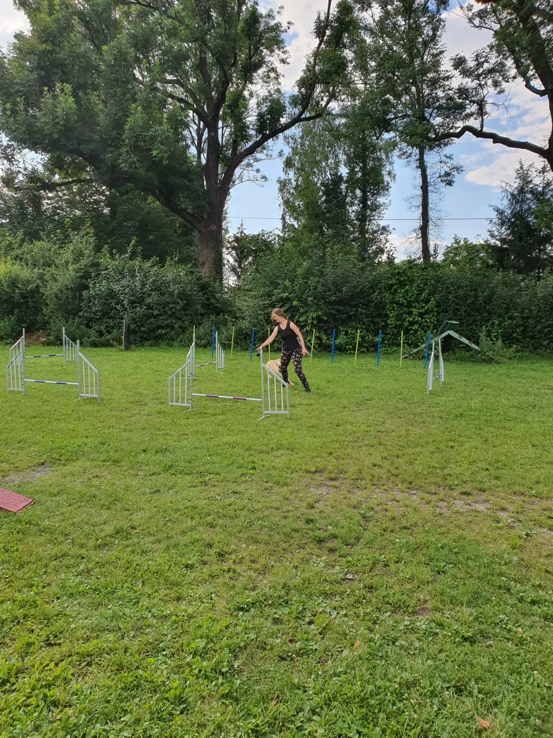 Domino Dogs School , Hundetrainer und Hund im Trainingsgelände