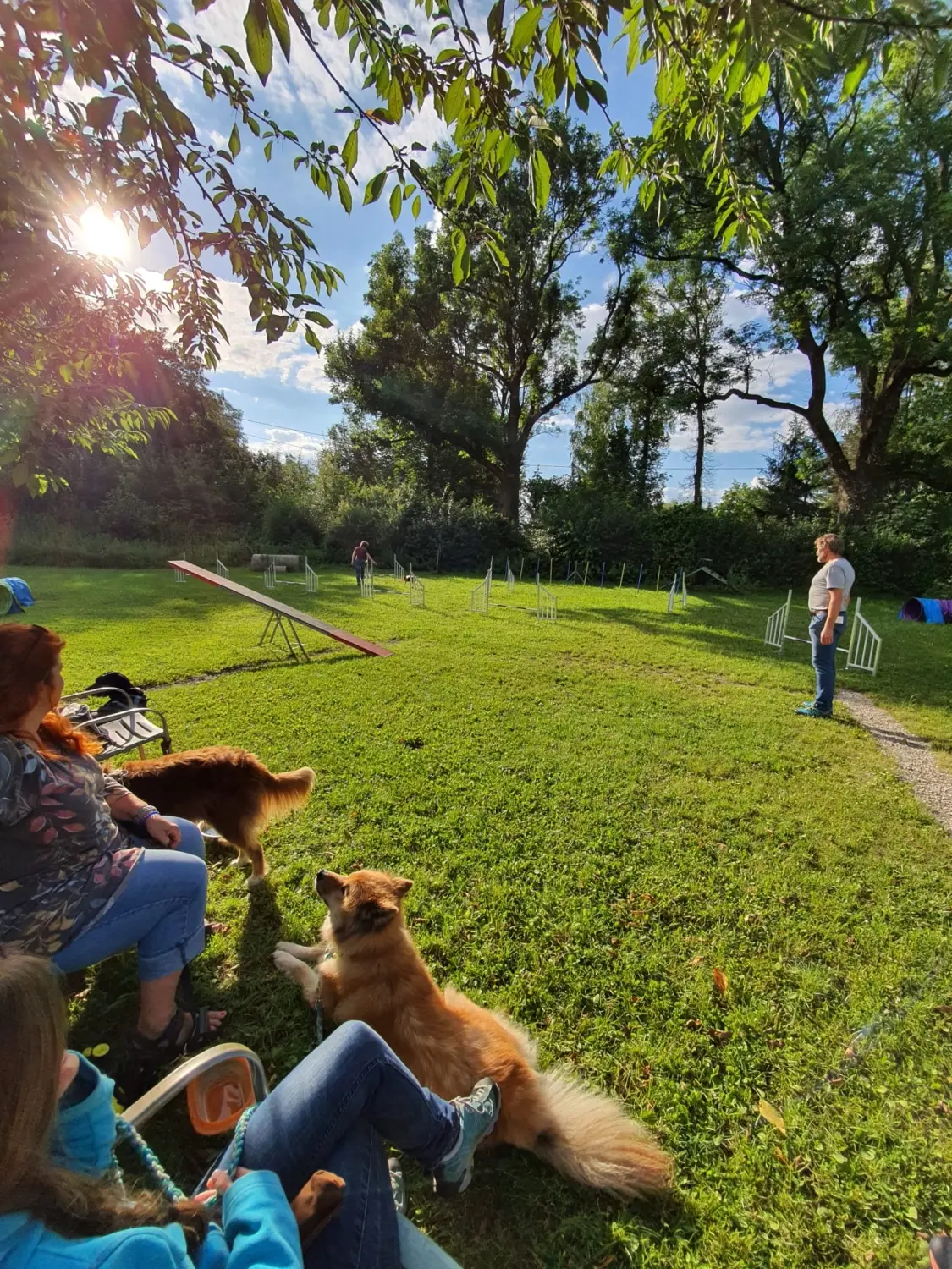 Domino Dogs School, Menschen sitzen und ihre Hunde auf dem Hundetrainingsgelände