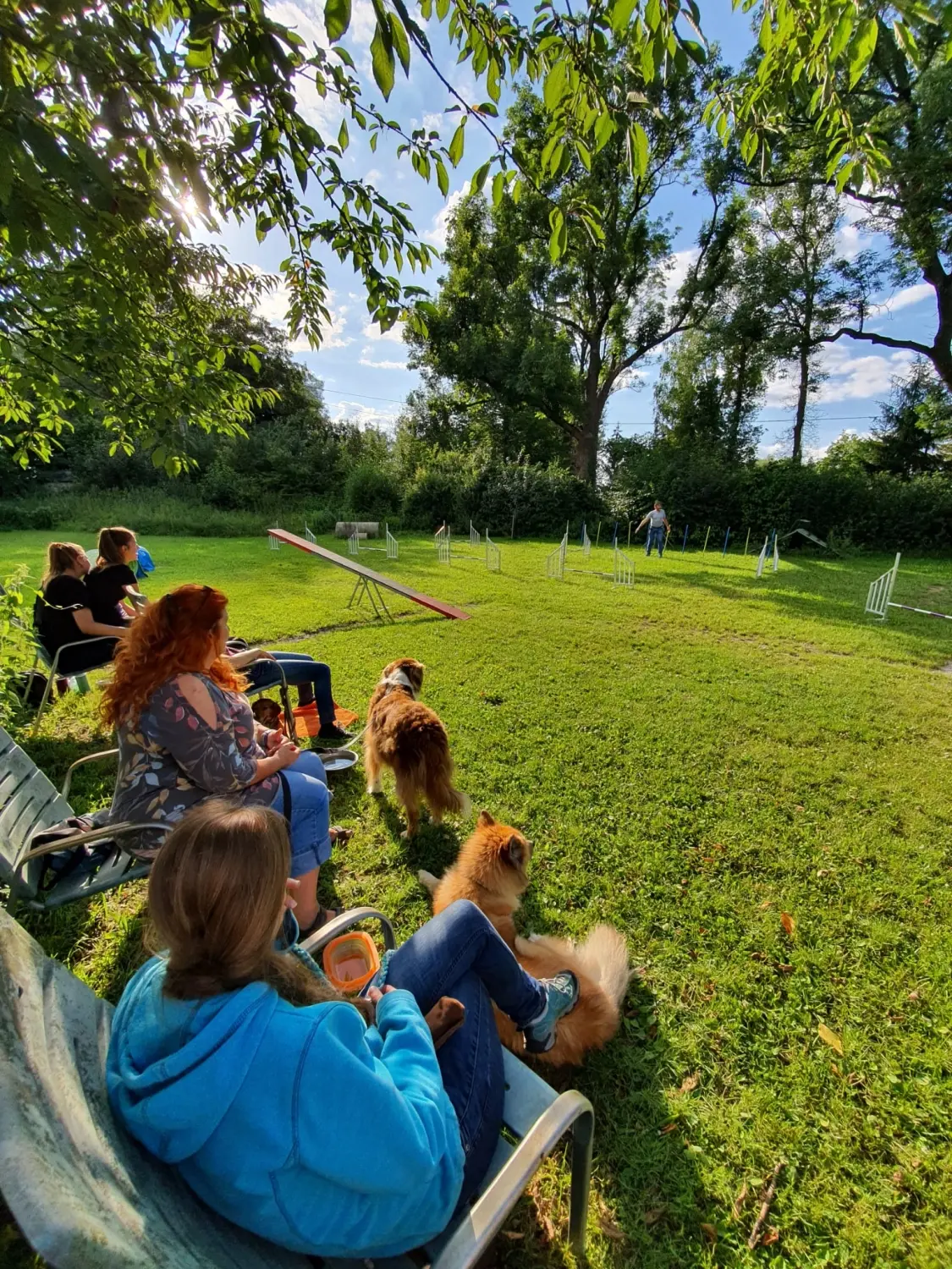 Domino Dogs School, Menschen sitzen und ihre Hunde auf dem Hundetrainingsgelände